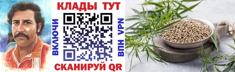 Виды наркоты Слюдянка COCAIN omg зеркало СОЛЬ Галлюциногенные грибы Мефедрон ГАШ Бошки Шишки
