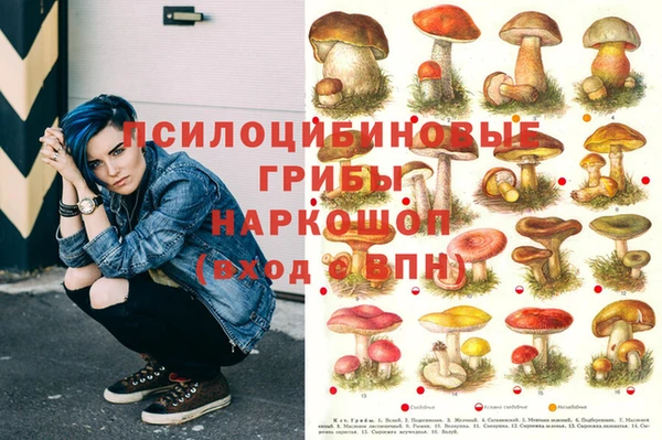 тгк Абдулино